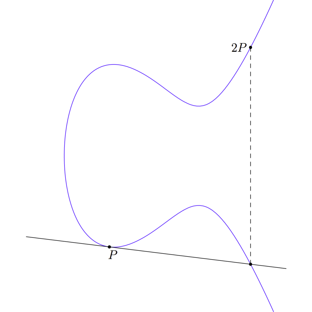 When adding a point to itself, we take the tangent at the point to construct the P,P line