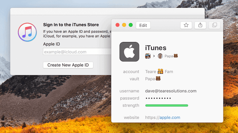 A separate window showing an iTunes login