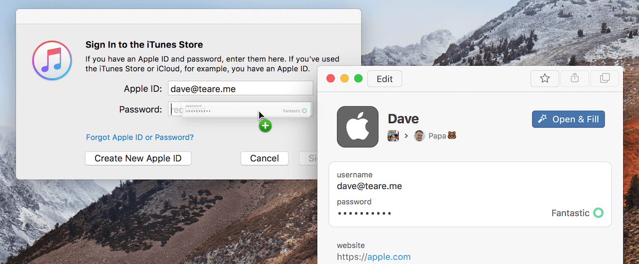 1password cannot log into 1password 7 for mac