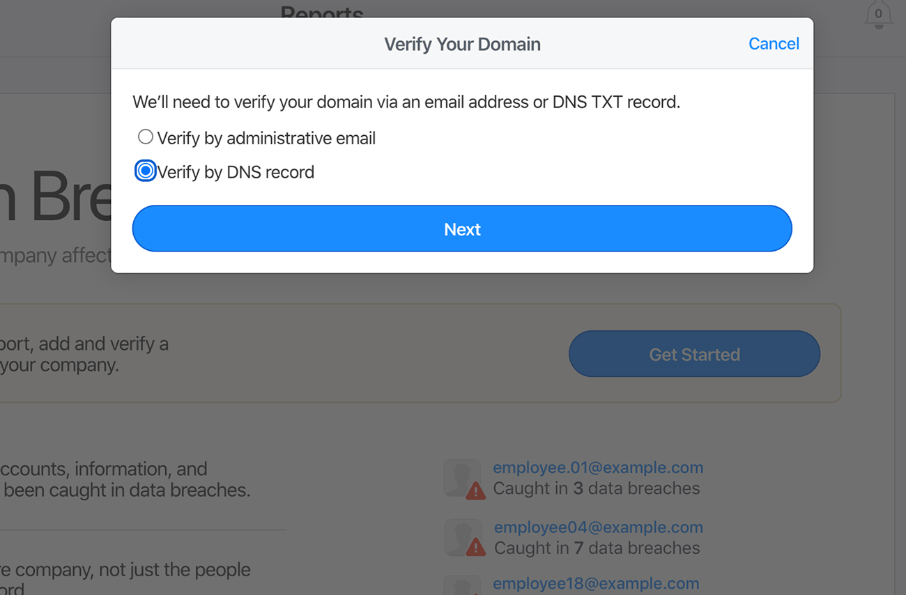 Screenshot of the option to verify domain by DNS