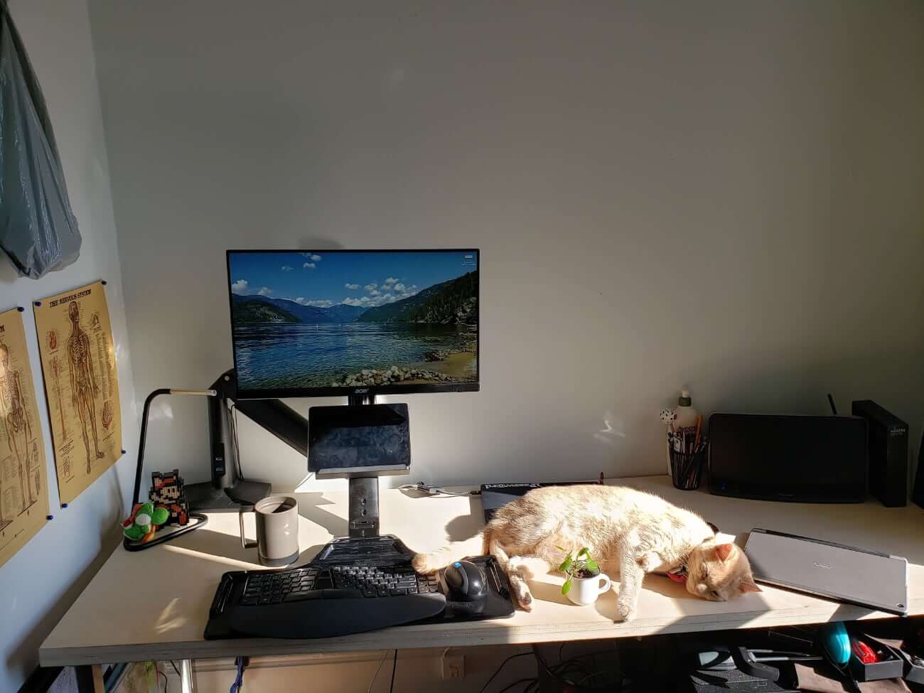 Image of Dayton's work from home setup