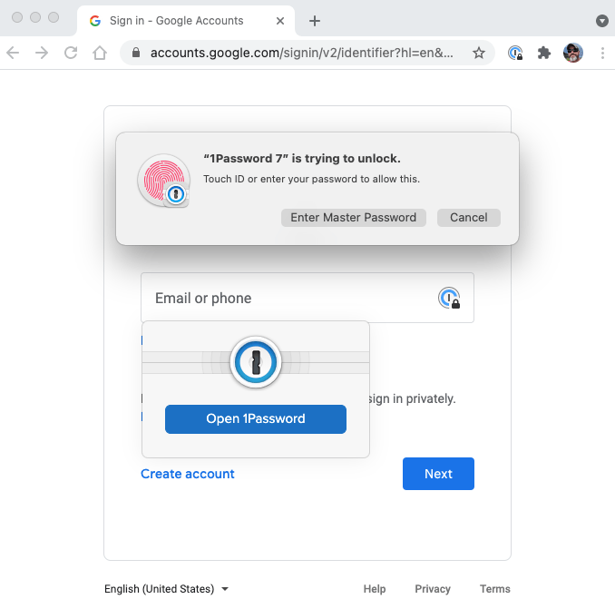 1password browser extension sign in