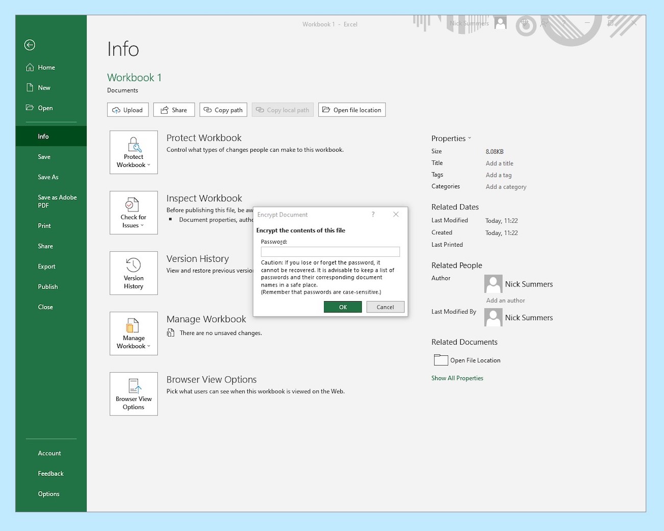 A screenshot captured on a Windows PC, showing how to encrypt an Excel spreadsheet with a password.