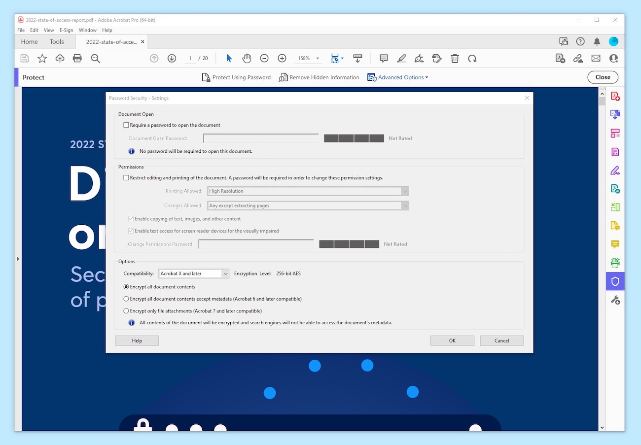 A screenshot captured on a Windows PC, showing the advanced password security settings in Adobe Acrobat Pro.