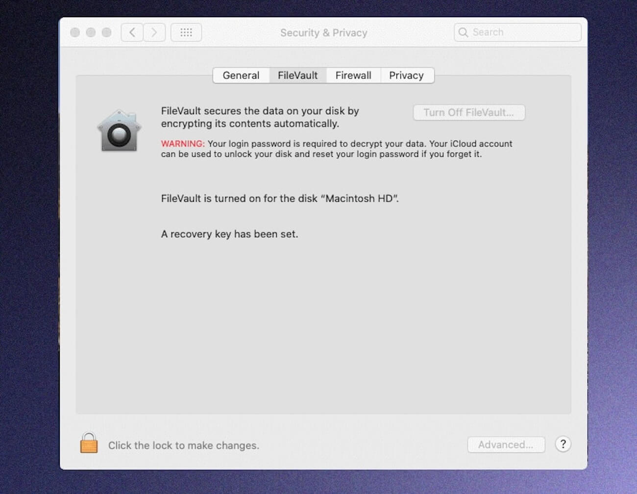 A screenshot of a filevault popup.